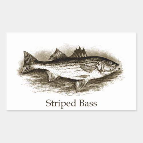 Striped Bass Logo vintage Rectangular Sticker