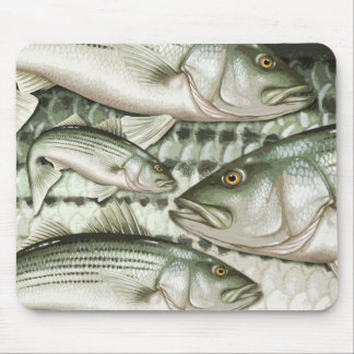 Striped Bass (Striper) Mouse Pad