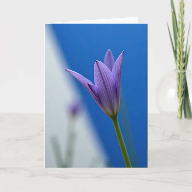 Striped Bloom Floral Card (Front)