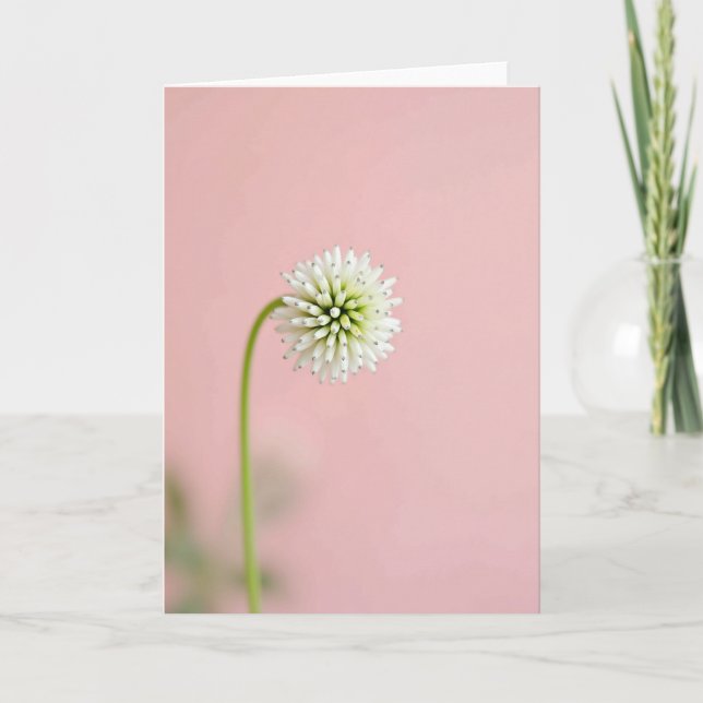 Striped Bloom Pastel Pink Card (Front)