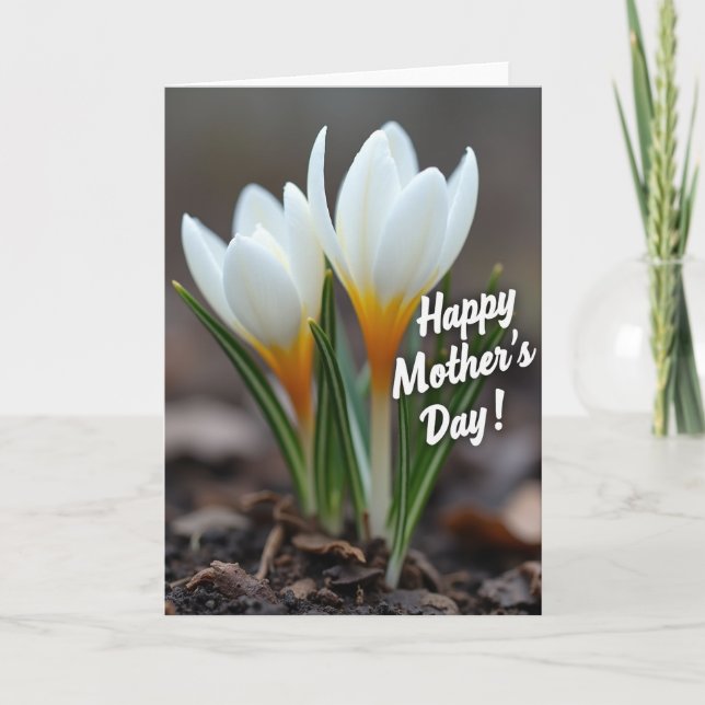 Striped Blossom Serenity Card (Front)