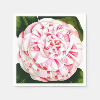 Striped Candy Cane Camellia Paper Napkins by Floridity at Zazzle