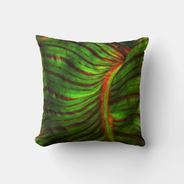 Striped Canna Leaf Accent Pillow (Front)