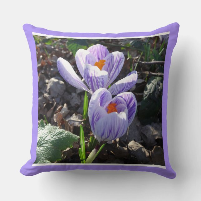 Striped Crocusses Throw Pillow (Front)