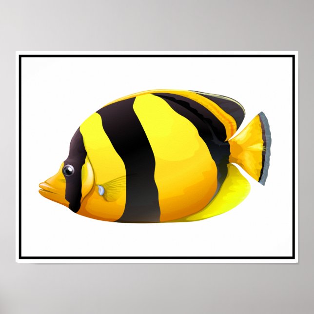 Striped Fish Poster (Front)