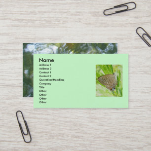 Striped Hairstreak Business Card