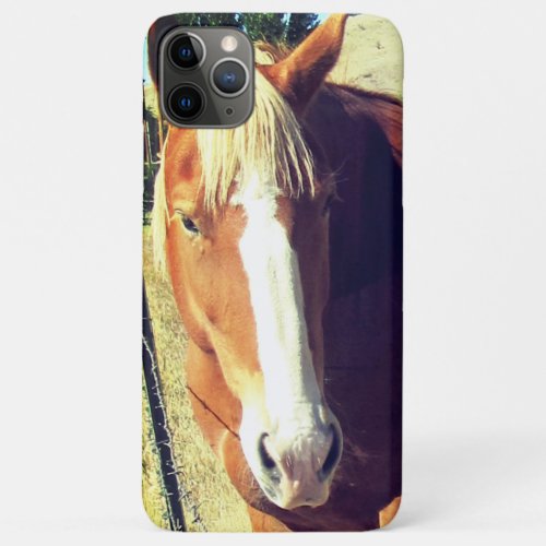 Striped Horse Phone Case