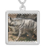 Striped Hyena Necklace