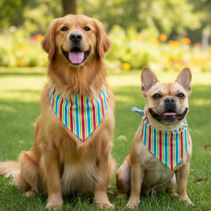 Striped In Color Bandana
