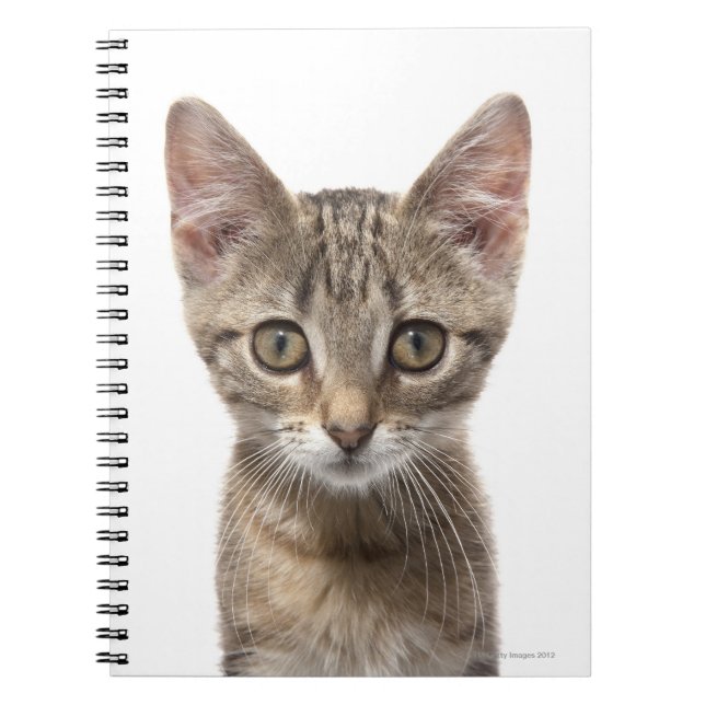 Striped Kitten Notebook (Front)