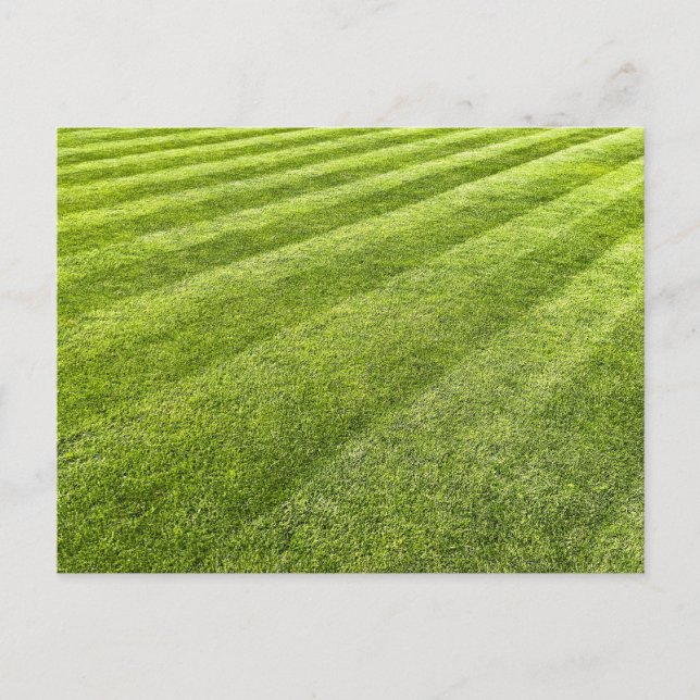 Striped Lawn Abstract Postcard (Front)