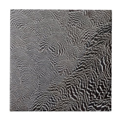 Striped Pheasant Feather Abstract Tile