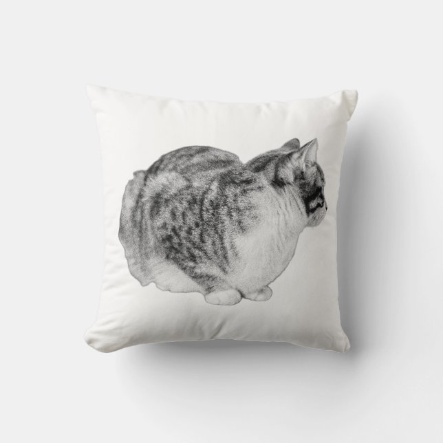 Striped Reflection Throw Pillow (Front)