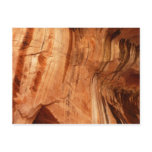 Striped Rock of Double Arch Alcove I from Zion Postcard