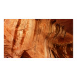 Striped Rock of Double Arch Alcove I from Zion Poster