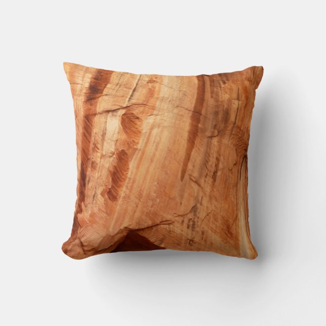 Striped Rock of Double Arch Alcove I from Zion Throw Pillow (Front)