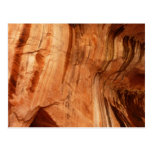 Striped Rock of Double Arch Alcove I Postcard