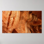 Striped Rock of Double Arch Alcove I Poster