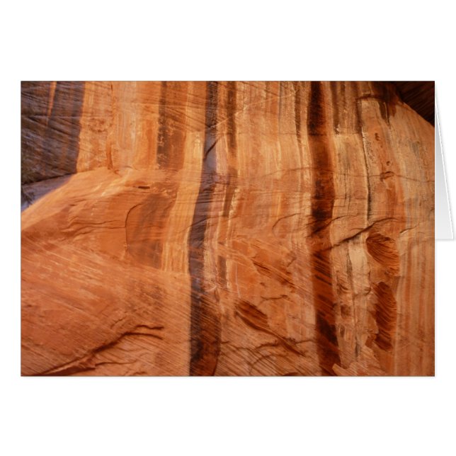 Striped Rock of Double Arch Alcove II at Zion (Front Horizontal)