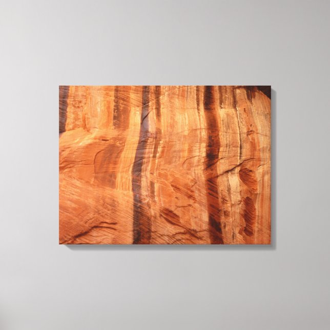 Striped Rock of Double Arch Alcove II at Zion Canvas Print (Front)