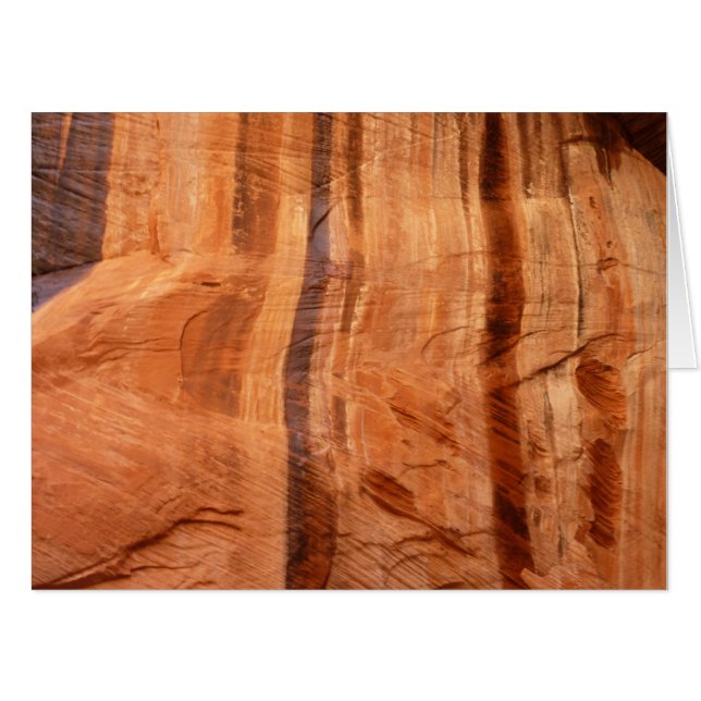 Striped Rock of Double Arch Alcove II at Zion Card (Front Horizontal)
