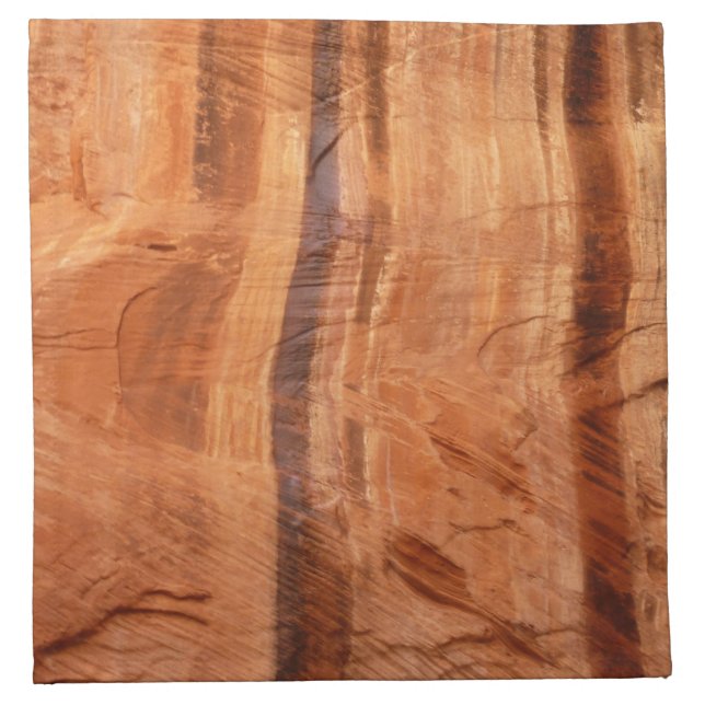 Striped Rock of Double Arch Alcove II at Zion Cloth Napkin (Front)