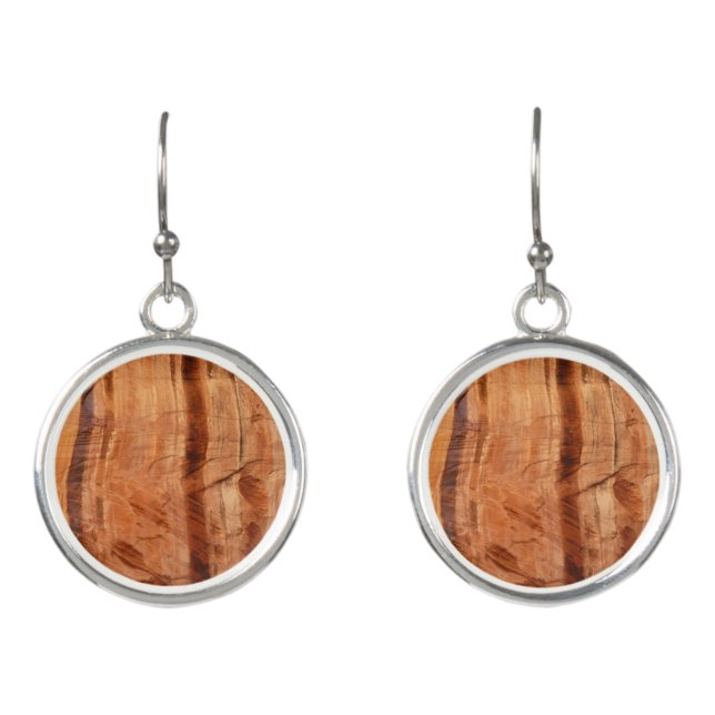 Striped Rock of Double Arch Alcove II at Zion Earrings (Front)