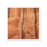 Striped Rock of Double Arch Alcove II at Zion Paper Napkins