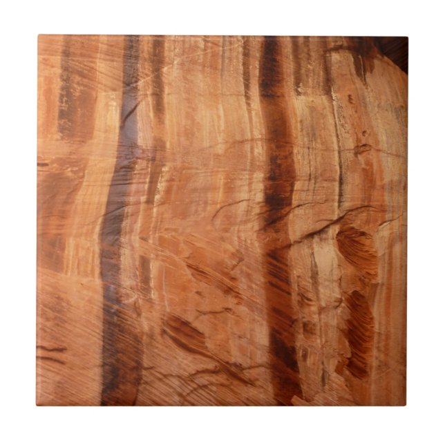 Striped Rock of Double Arch Alcove II at Zion Tile (Front)