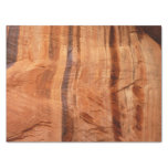 Striped Rock of Double Arch Alcove II at Zion Tissue Paper