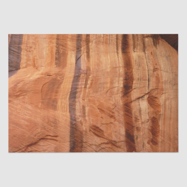 Striped Rock of Double Arch Alcove II at Zion Tissue Paper (Front)