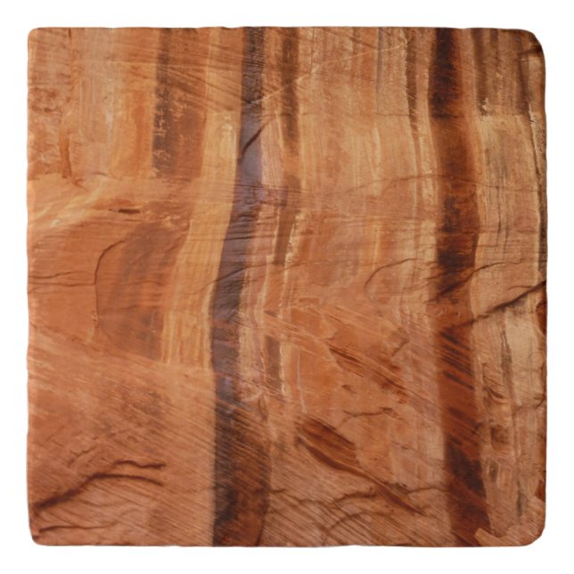 Striped Rock of Double Arch Alcove II at Zion Trivet (Front)