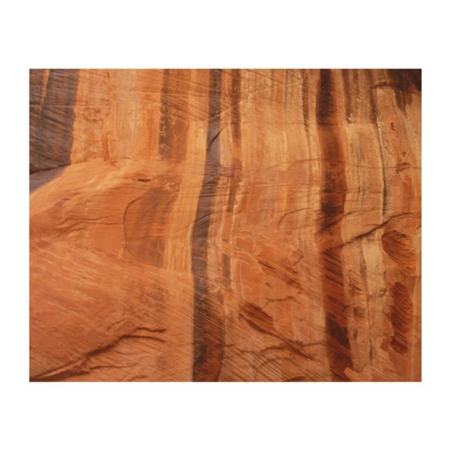 Striped Rock of Double Arch Alcove II at Zion Wood Wall Art (Front)