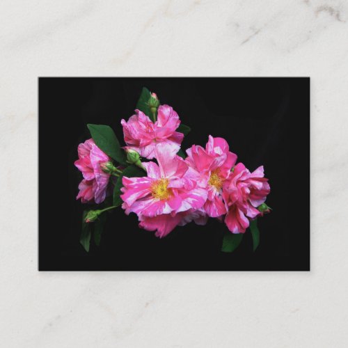 Striped Rose ATC Business Card Templates