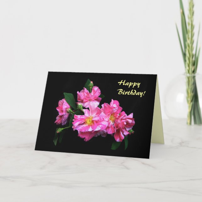 Striped Roses Birthday Card (Front)