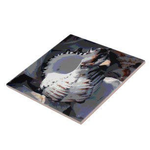 Striped Sea Shell Tile
