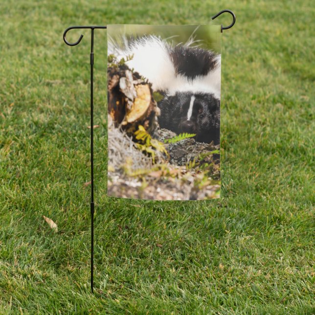 Striped Skunk Fern Log Garden Flag (In SItu)