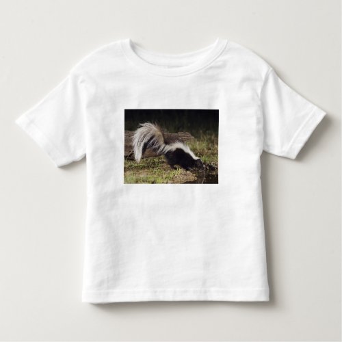 Striped Skunk Mephitis mephitis adult at 2 Toddler T_shirt