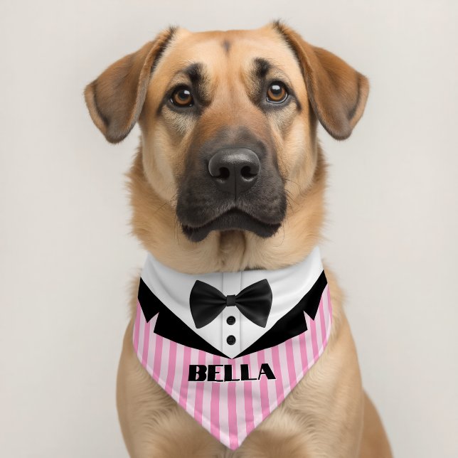 Striped Suit Pattern Name Pet Bandana Collar (Dog 2)