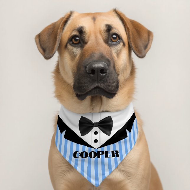 Striped Suit Pattern Name Pet Bandana Collar (Dog 2)