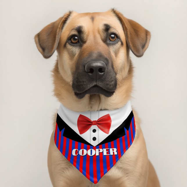 Striped Suit Pattern Name Pet Bandana Collar (Dog 2)