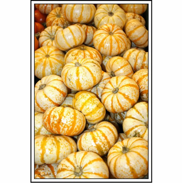 Striped White Mini Pumpkins Cutout (Front)
