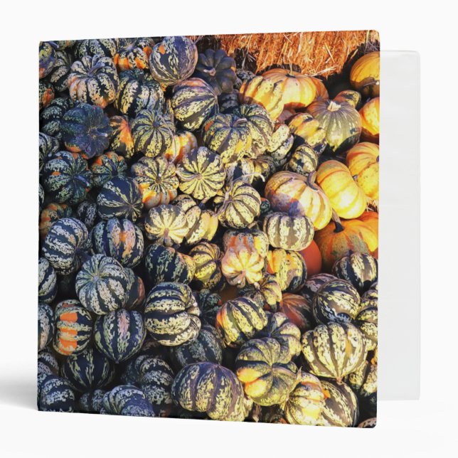 Stripes And Pumpkins  3 Ring Binder (Front/Inside)