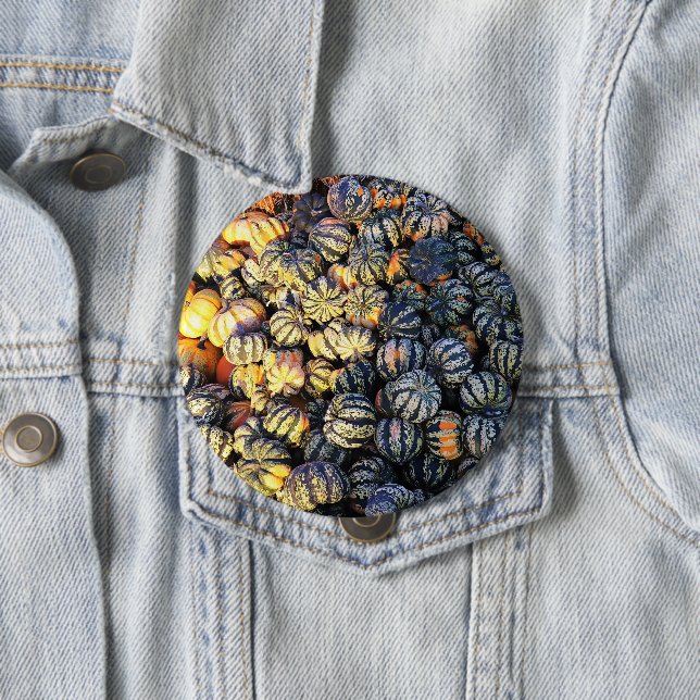 Stripes And Pumpkins  Button (In Situ)