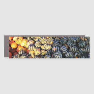 Stripes And Pumpkins Car Magnet