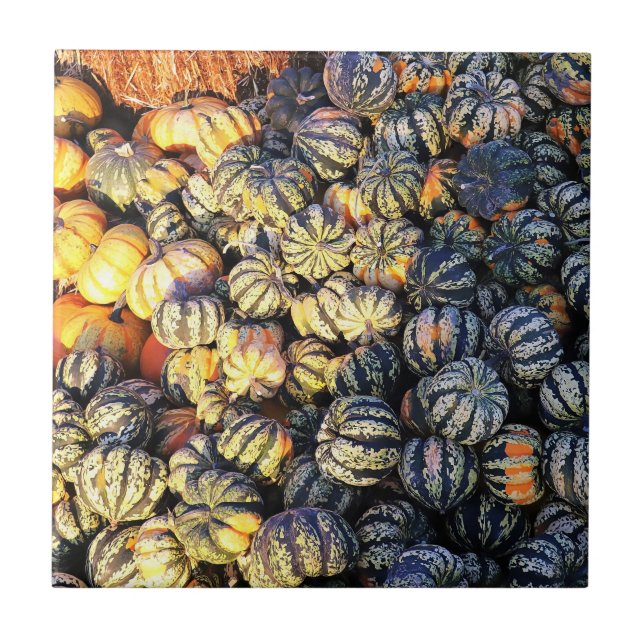 Stripes And Pumpkins  Ceramic Tile (Front)
