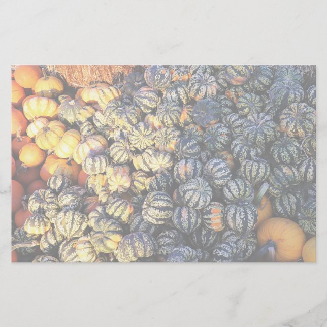 Stripes And Pumpkins  Stationery (Front)