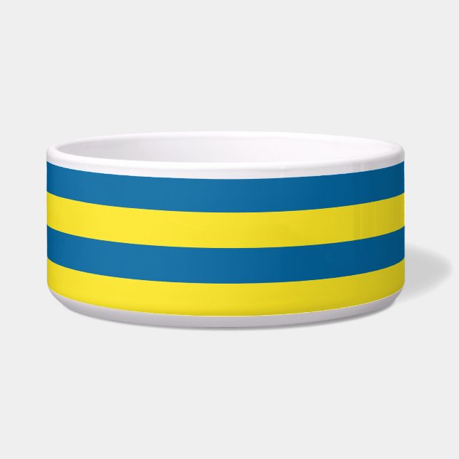 Stripes | Blue & Yellow | Customizable Bowl (Front)