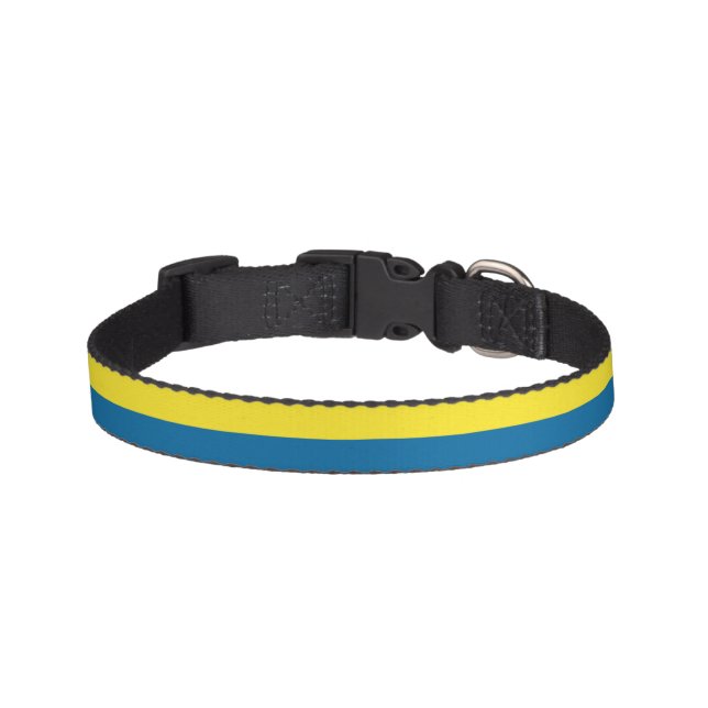 Stripes | Blue & Yellow | Customizable Pet Collar (Front)