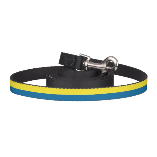 Stripes | Blue & Yellow | Customizable Pet Leash (Hook)